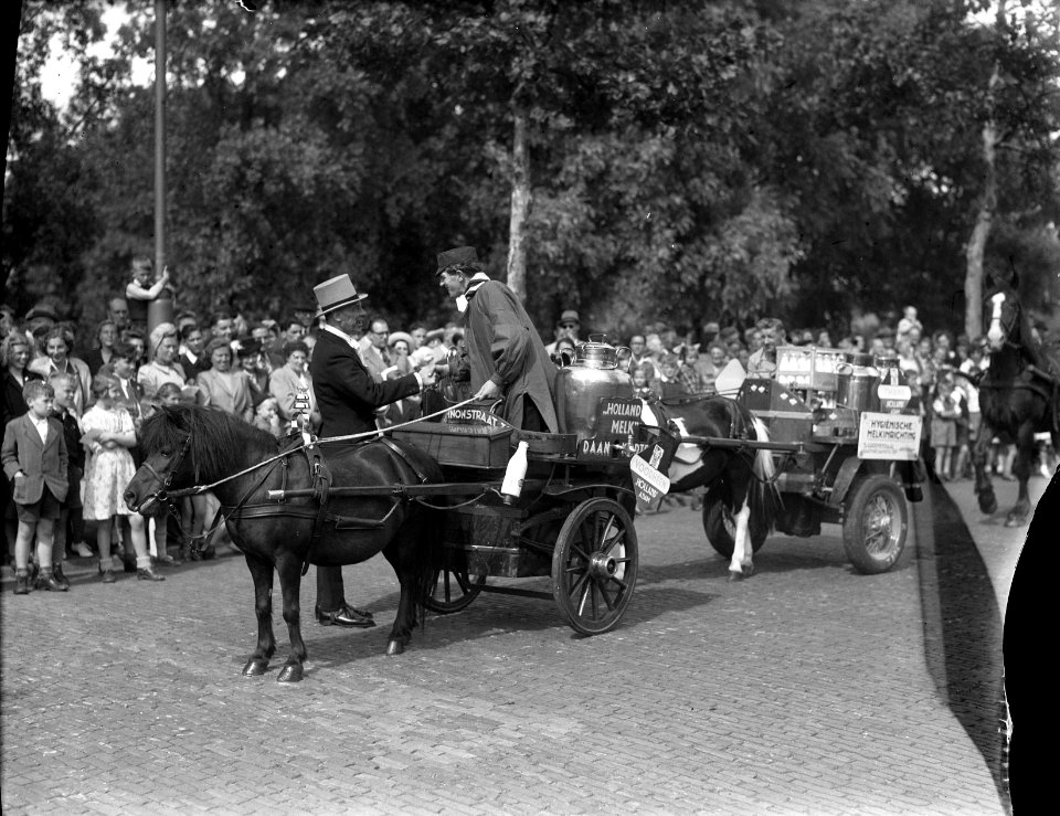 Paardenparade. Overzicht Munt, Bestanddeelnr 902-8054