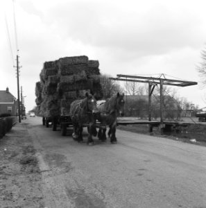 Paarden, wagens, stro, ophaalbruggen, Groningen, Bestanddeelnr 168-0421