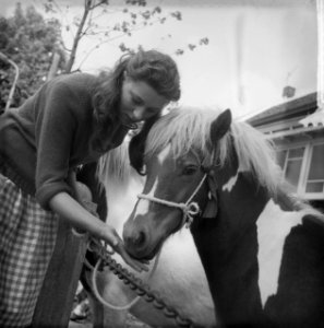 Paardemarkt in Beusichem Meisje met paard, Bestanddeelnr 912-6032