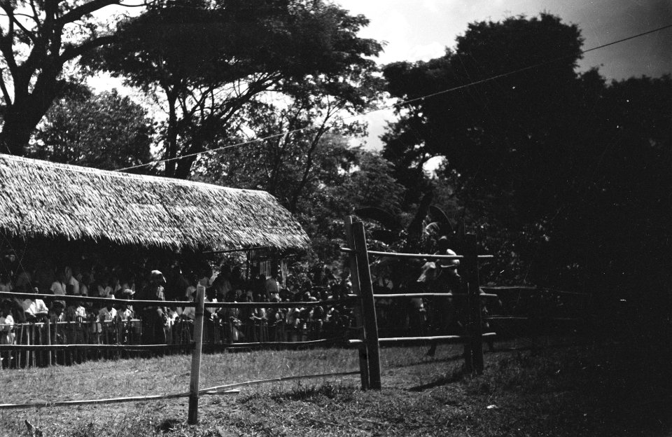 Paardenrennen, Bestanddeelnr 462-1-2