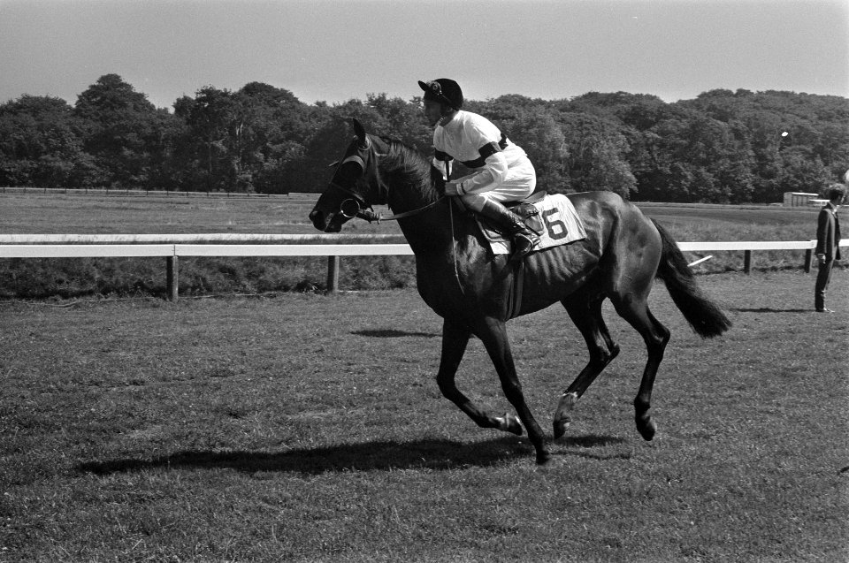 Paardensport, Bestanddeelnr 922-6229