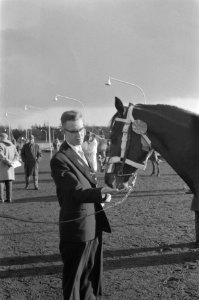 Paardenshow te Hilversum, Bestanddeelnr 911-7771
