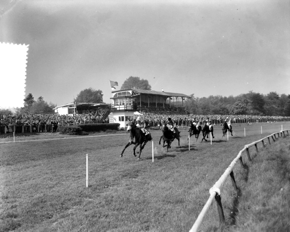 Paardenrennen 50 jaar Duindigt. Overzichten tijdens Courses, Bestanddeelnr 907-7735