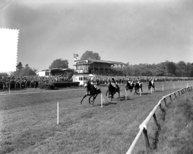 Paardenrennen 50 jaar Duindigt. Overzichten tijdens Courses, Bestanddeelnr 907-7735