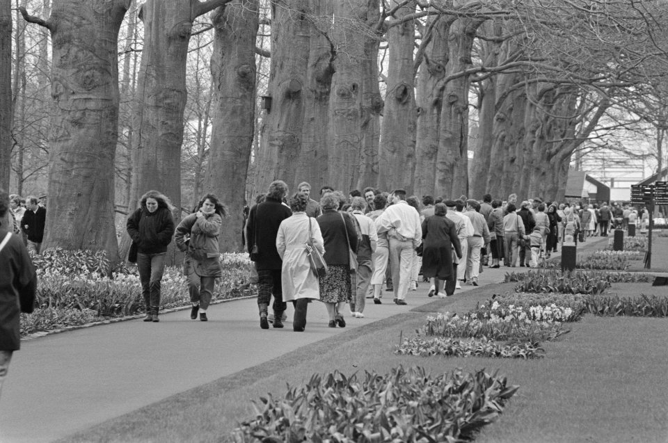 Paasdrukte Keukenhof, Bestanddeelnr 933-9574