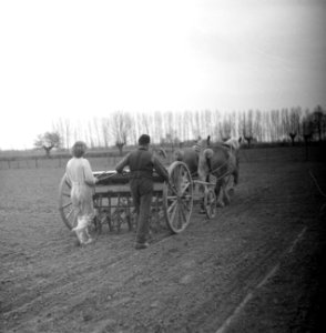 Paard-en-wagen op het land, Bestanddeelnr 252-1977