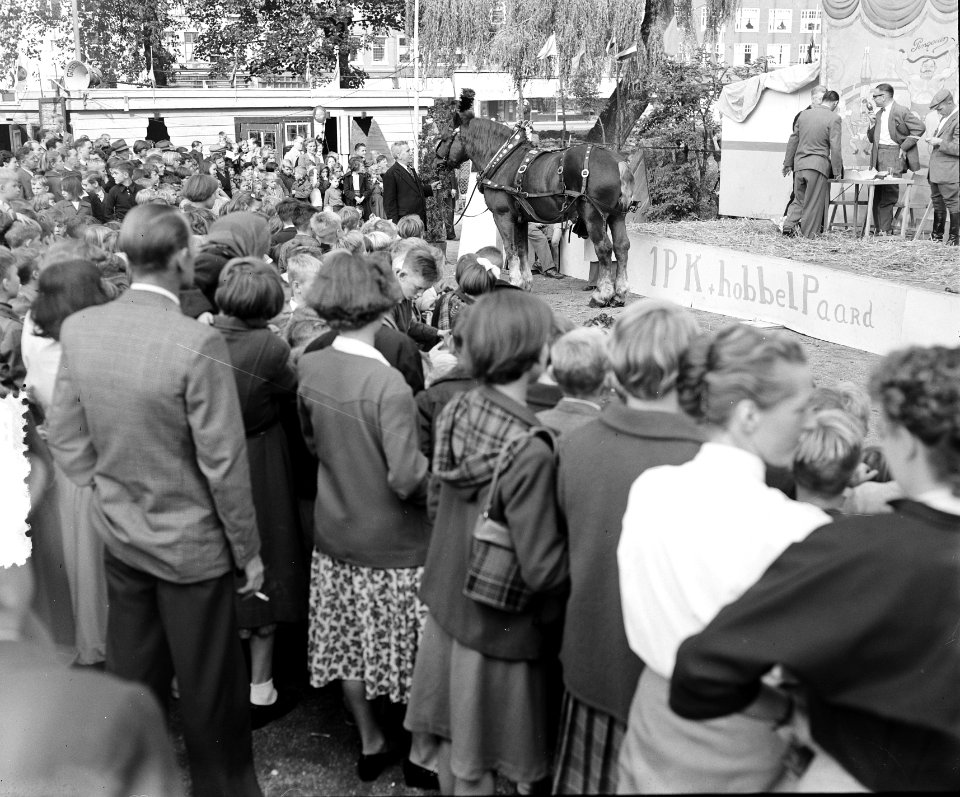 Paardendag Amsterdam, Bestanddeelnr 905-9817