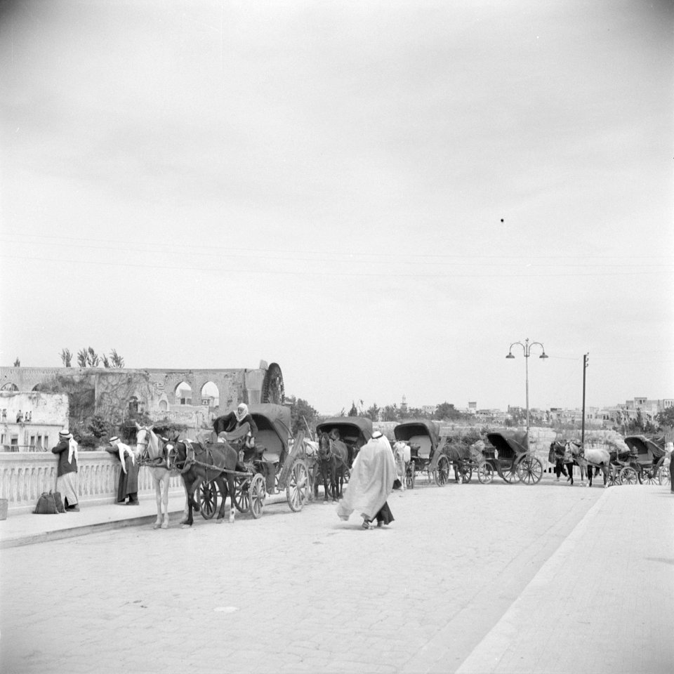 Paarden en koetsen tbv toeristen voor het waterrad langs de rivier de Oronte…, Bestanddeelnr 255-5998