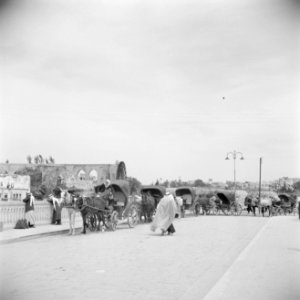 Paarden en koetsen tbv toeristen voor het waterrad langs de rivier de Oronte…, Bestanddeelnr 255-5998
