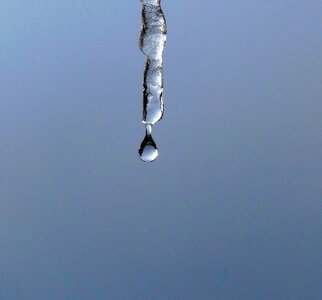 Icicle water droplet winter macro photo