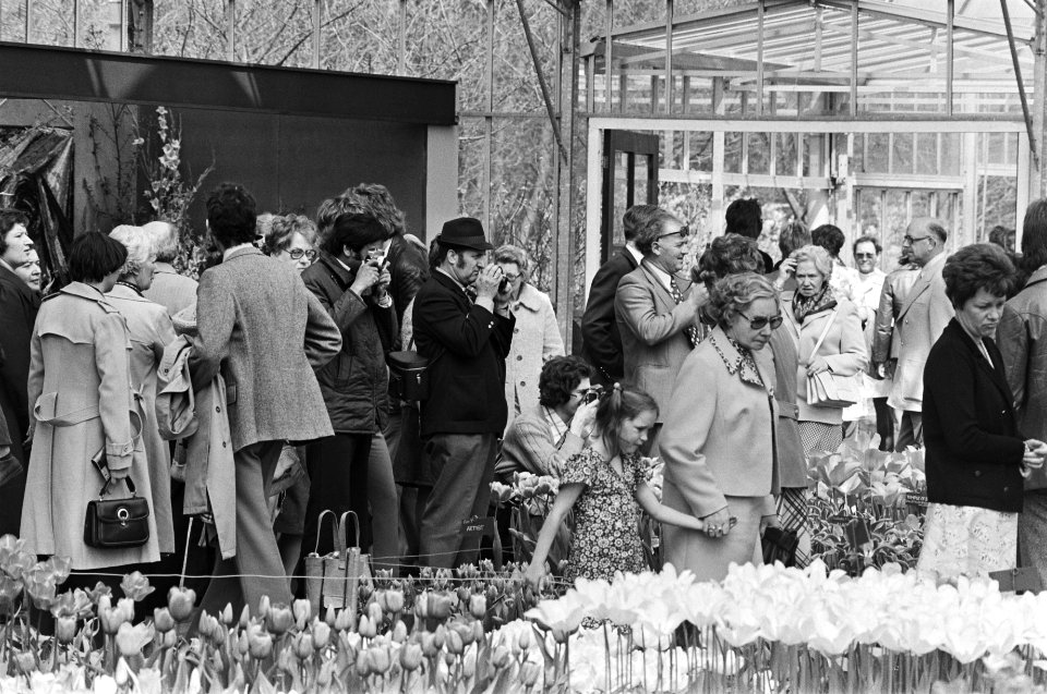 Paasdrukte op Keukenhof, Bestanddeelnr 928-5288