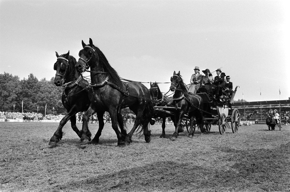 Paard-en-wagen, concours hippique, Bestanddeelnr 932-6706