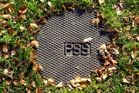 P.S.S. street hole cover - Beacon Hill - Boston, MA - DSC02267