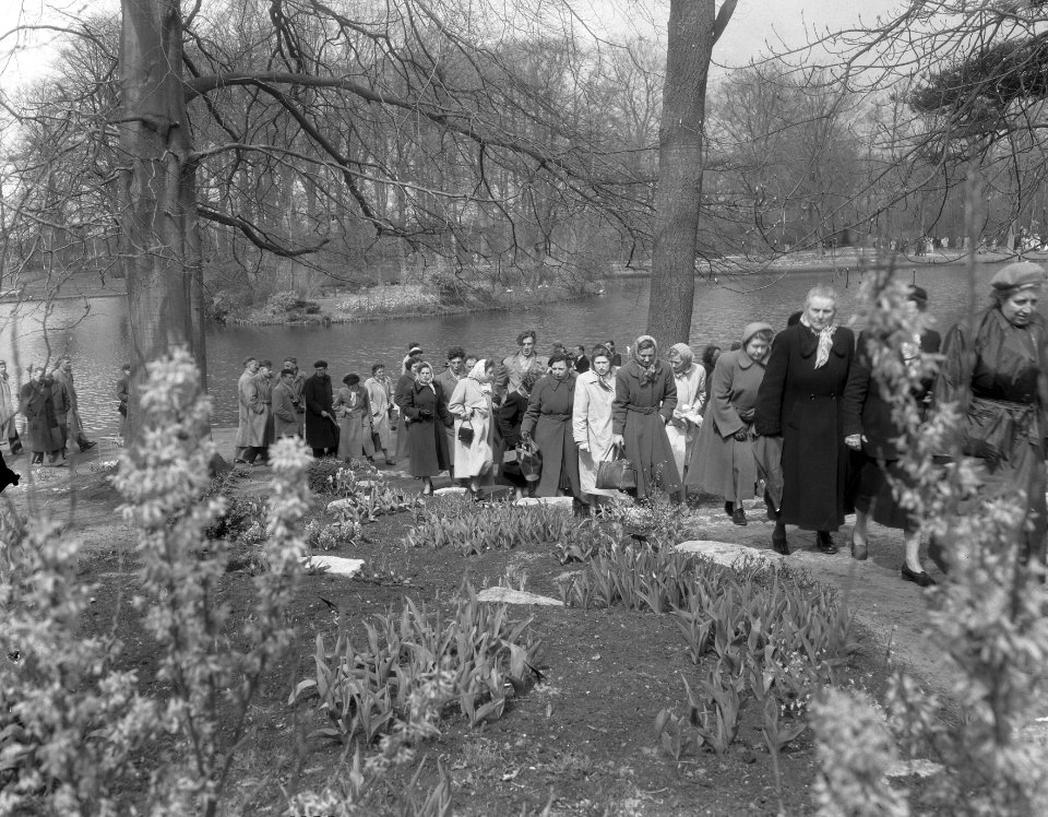 Paasdrukte in de bollenstreek, Bestanddeelnr 906-4056