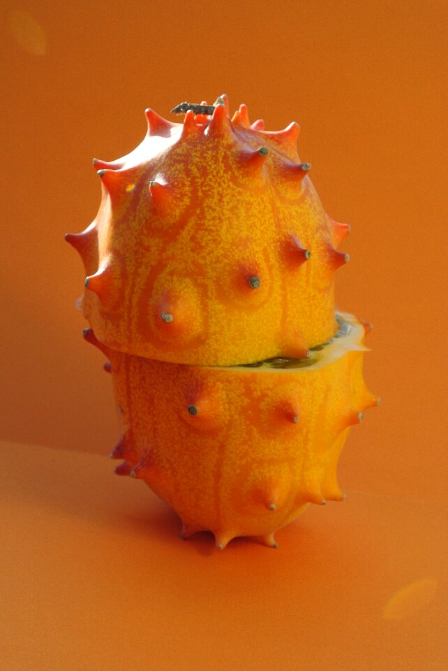 Fruit orange orange fruits