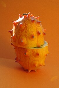 Fruit orange orange fruits