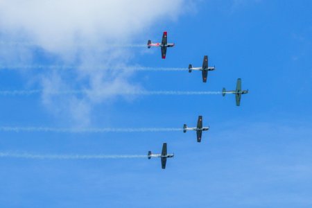P 3 Flyers - Bautzen 2016