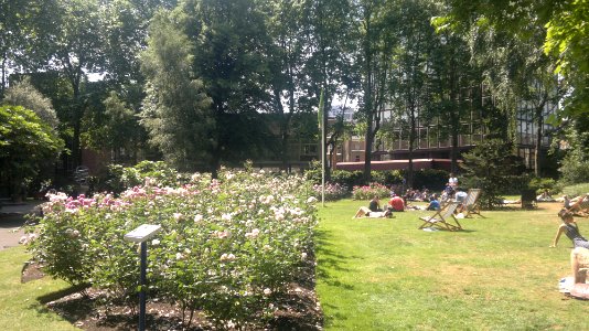 Paddington Street Gardens 7 June 2013