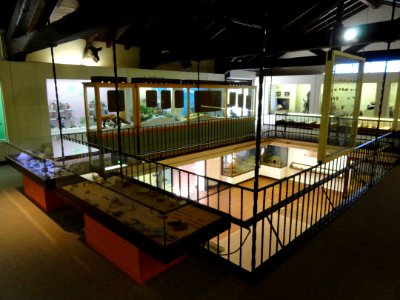 Pacific Grove Museum of Natural History - DSC06617