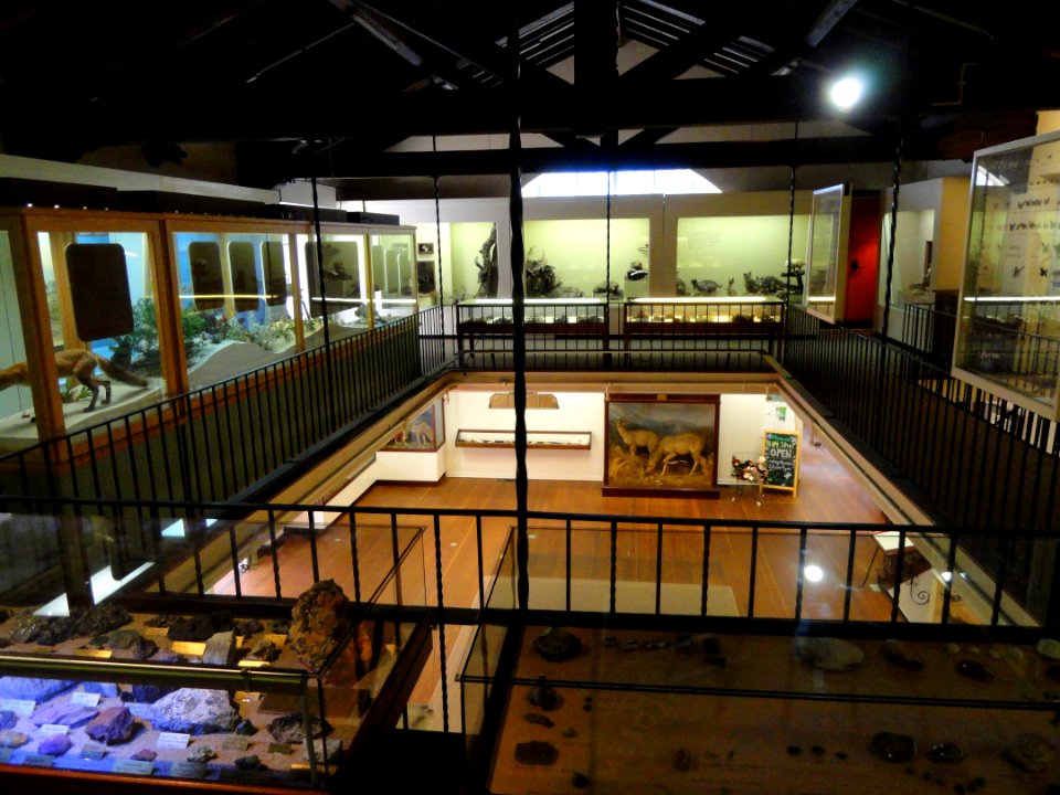 Pacific Grove Museum of Natural History - DSC06618