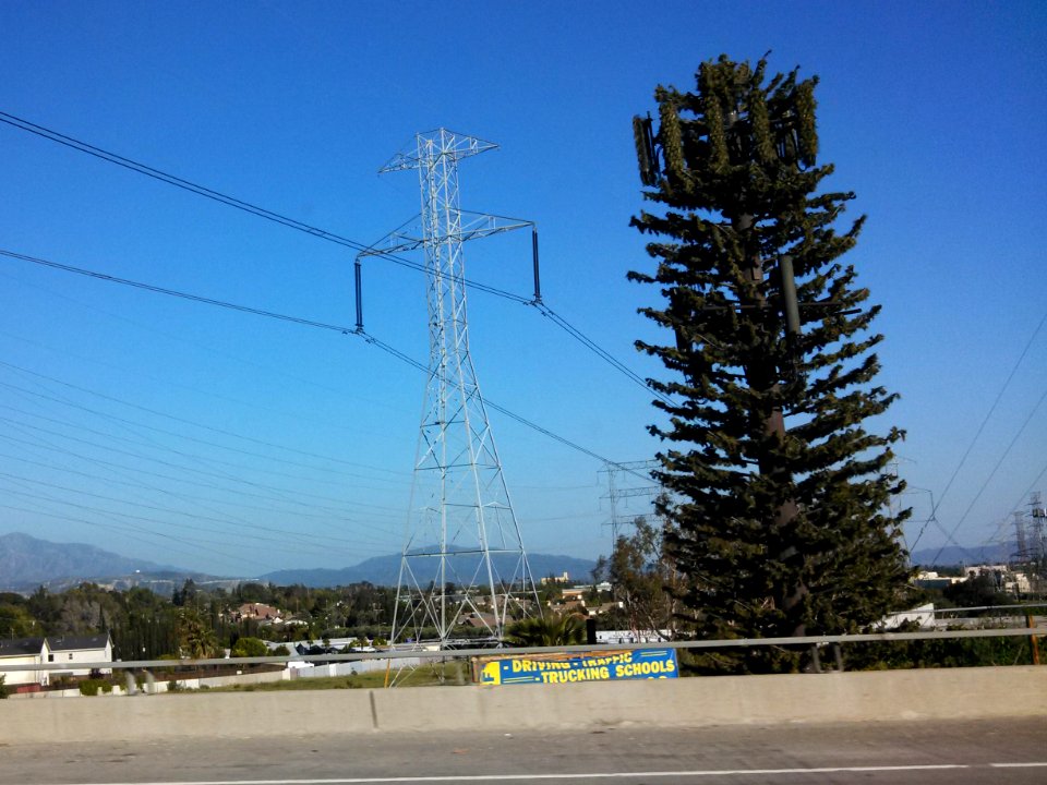 Pacific DC Intertie with Cell Phone Tower disguised as a tree