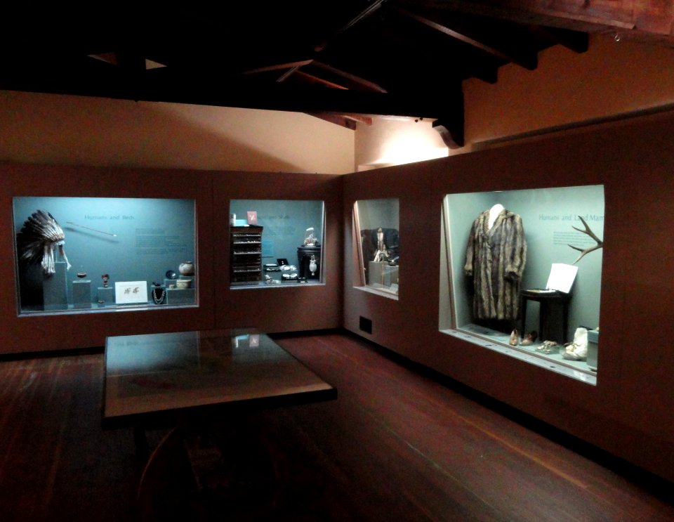 Pacific Grove Museum of Natural History - DSC06581