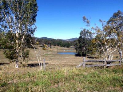 Paddocks and dams Sandy Creek Queensland