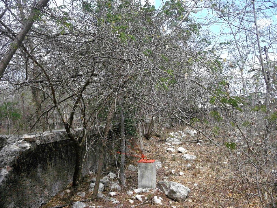 Pacabtún, Yucatán (12)