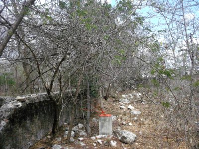 Pacabtún, Yucatán (12)