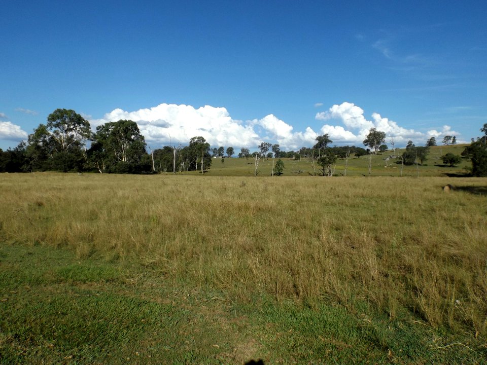 Paddocks along Tamrookum Creek Road at Tamrookum Creek, Queensland