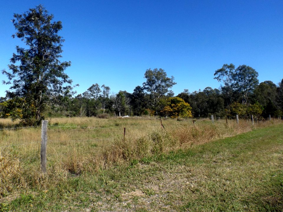 Paddocks along Hooper Street, West Ipswich, Queensland