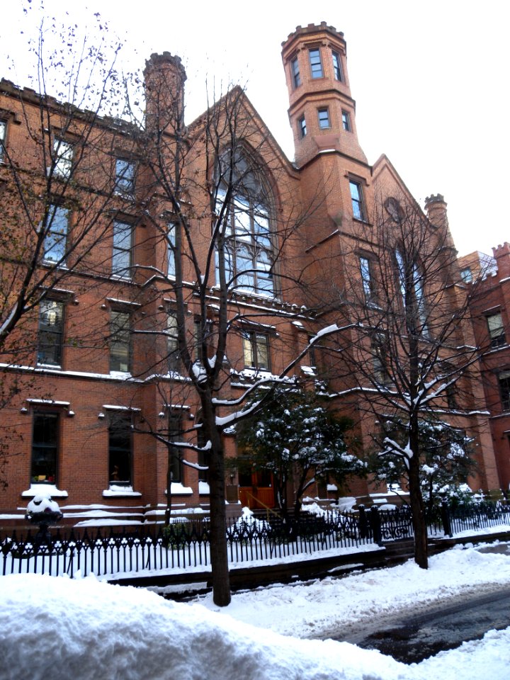 Packer Collegiate 170 Joralemon jeh