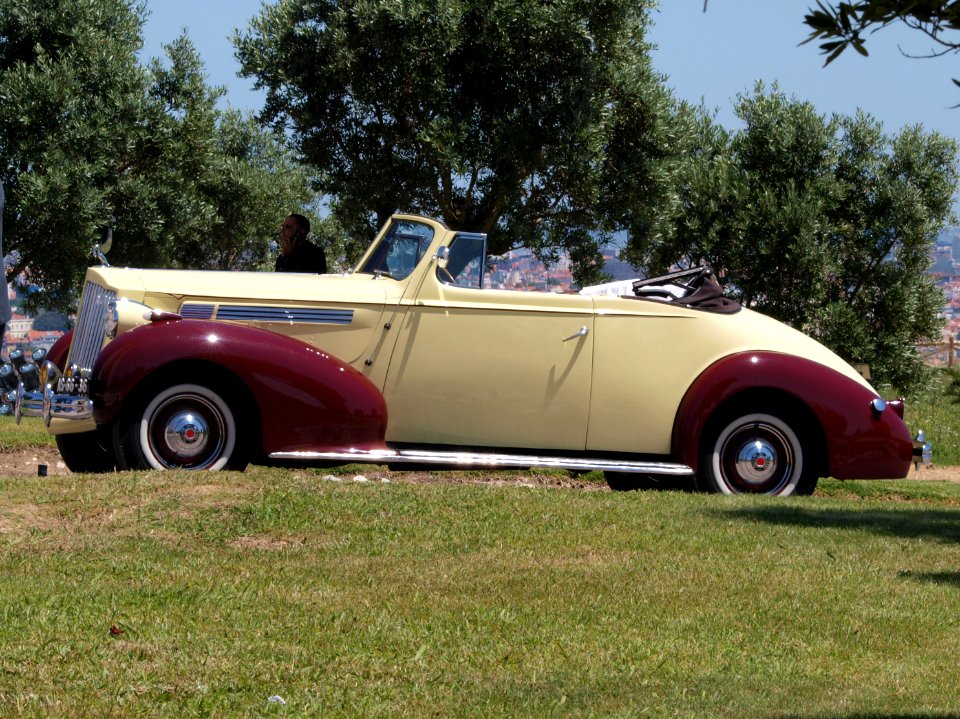 Packard in Portugal, pic4 at the SPECIAAL Auto Evenement Nijkerk 2011