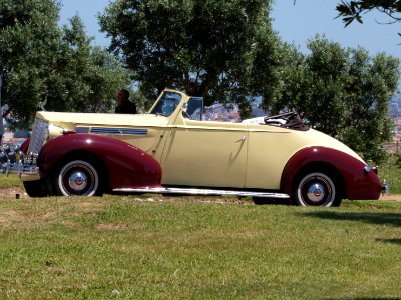 Packard in Portugal, pic4 at the SPECIAAL Auto Evenement Nijkerk 2011