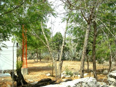 Pacabtún, Yucatán (10)