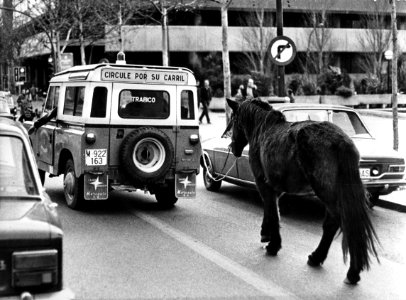 Paard opgebracht achter politiejeep in Madrid, Bestanddeelnr 928-9743
