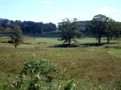 Paddocks along Beaudesert Boonah Road at Bromelton, Queensland