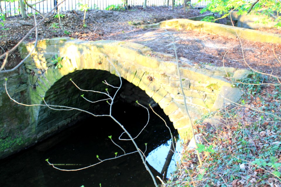 Packhorse bridge over Meanwood Beck 2019-04-21 (1)