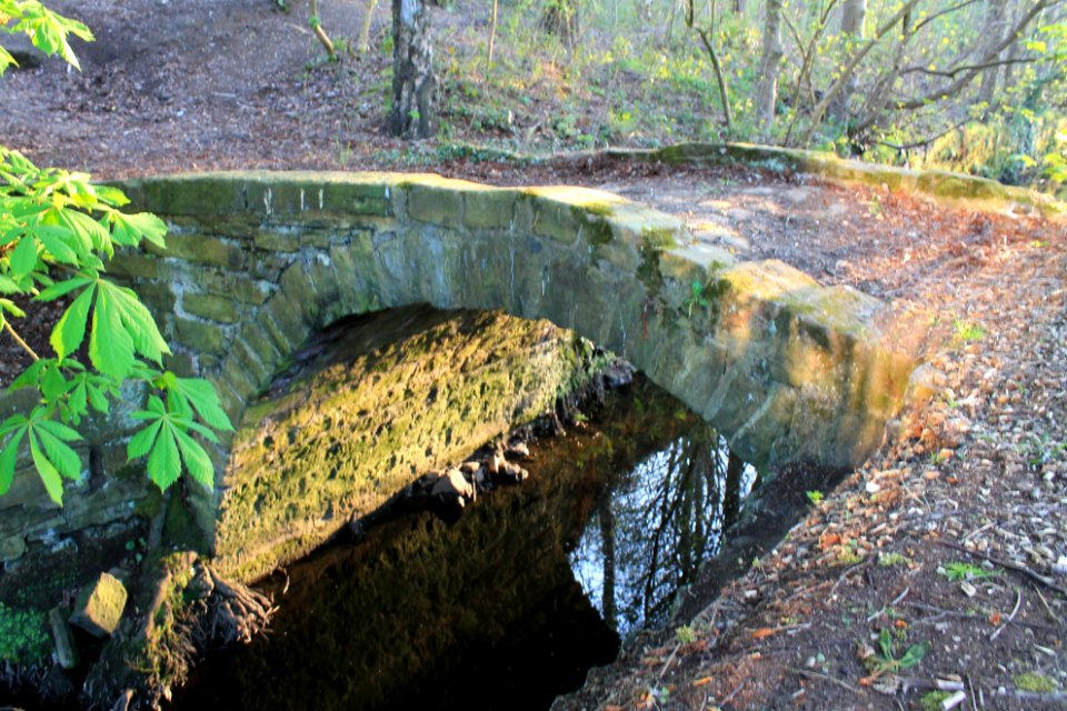 Packhorse bridge over Meanwood Beck 2019-04-21 (3)
