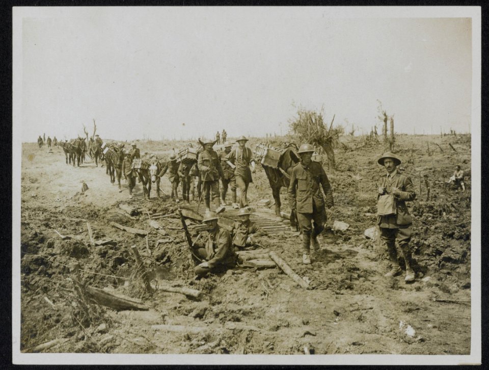 Pack mules going up over captured German ground, Bestanddeelnr 158-0940
