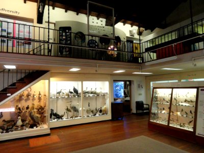 Pacific Grove Museum of Natural History - DSC06577