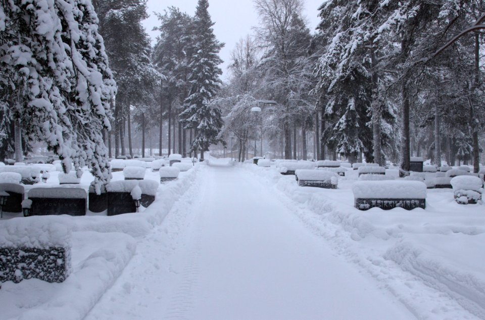 Paattionlehto Cemetery Kemi 20150126 01