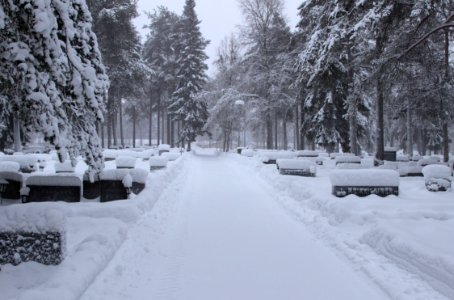 Paattionlehto Cemetery Kemi 20150126 01