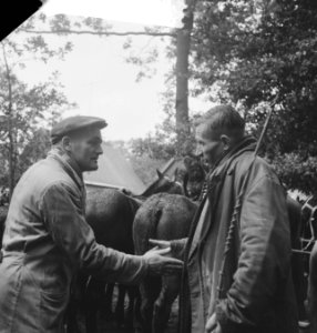 Paardemarkt in Zuidlaren. Kopers bij paard, Bestanddeelnr 913-0605
