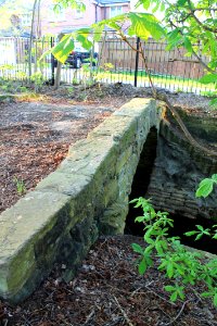 Packhorse bridge over Meanwood Beck 2019-04-21 (2)