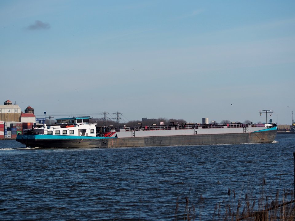 Pacific, ENI 06003867, Noordzeekanaal, Amsterdam, pic3