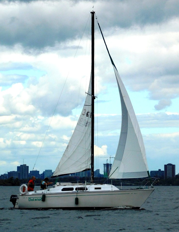 Paceship PY 26 Sailboat Dalriada 2443
