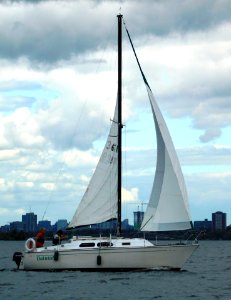 Paceship PY 26 Sailboat Dalriada 2443