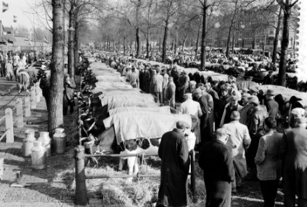 Paasveetentoonstelling in Rotterdam, Bestanddeelnr 912-2583