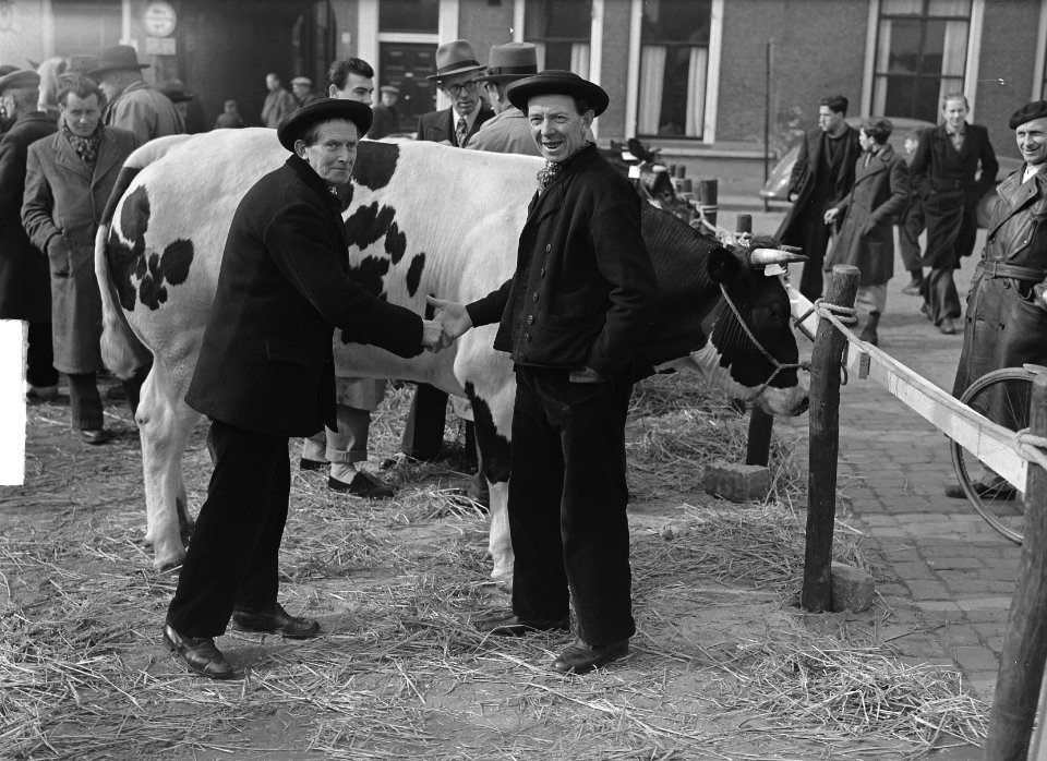 Paasveemarkt in Goes, Bestanddeelnr 904-4587